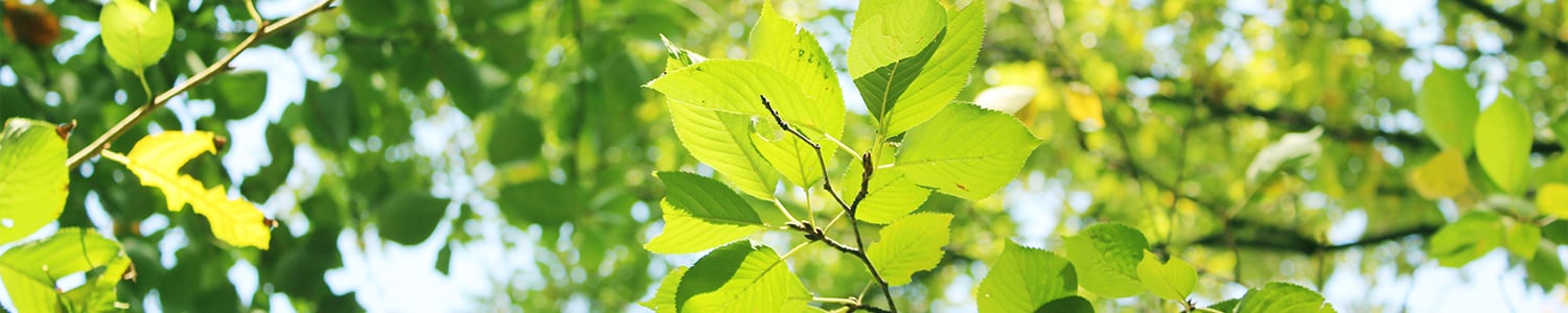 キクタ総業の得意なこと